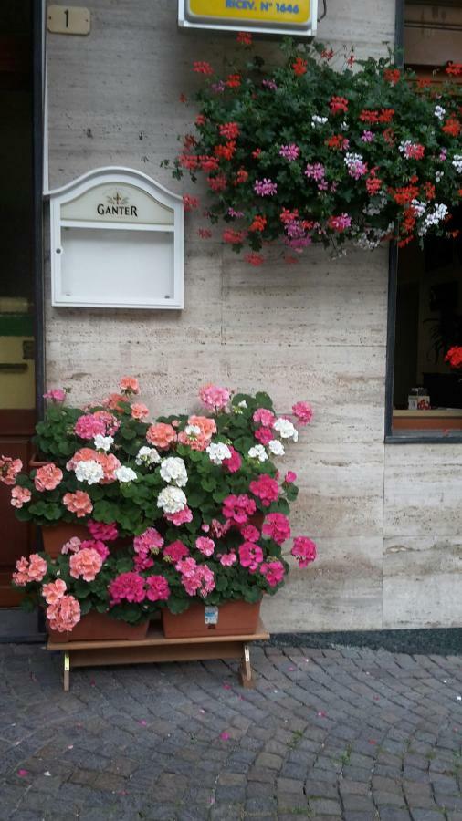Albergo Ristorante Centro Vico Canavese Exterior photo